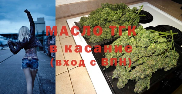 2c-b Горняк